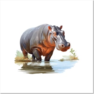 River Hippopotamus Posters and Art